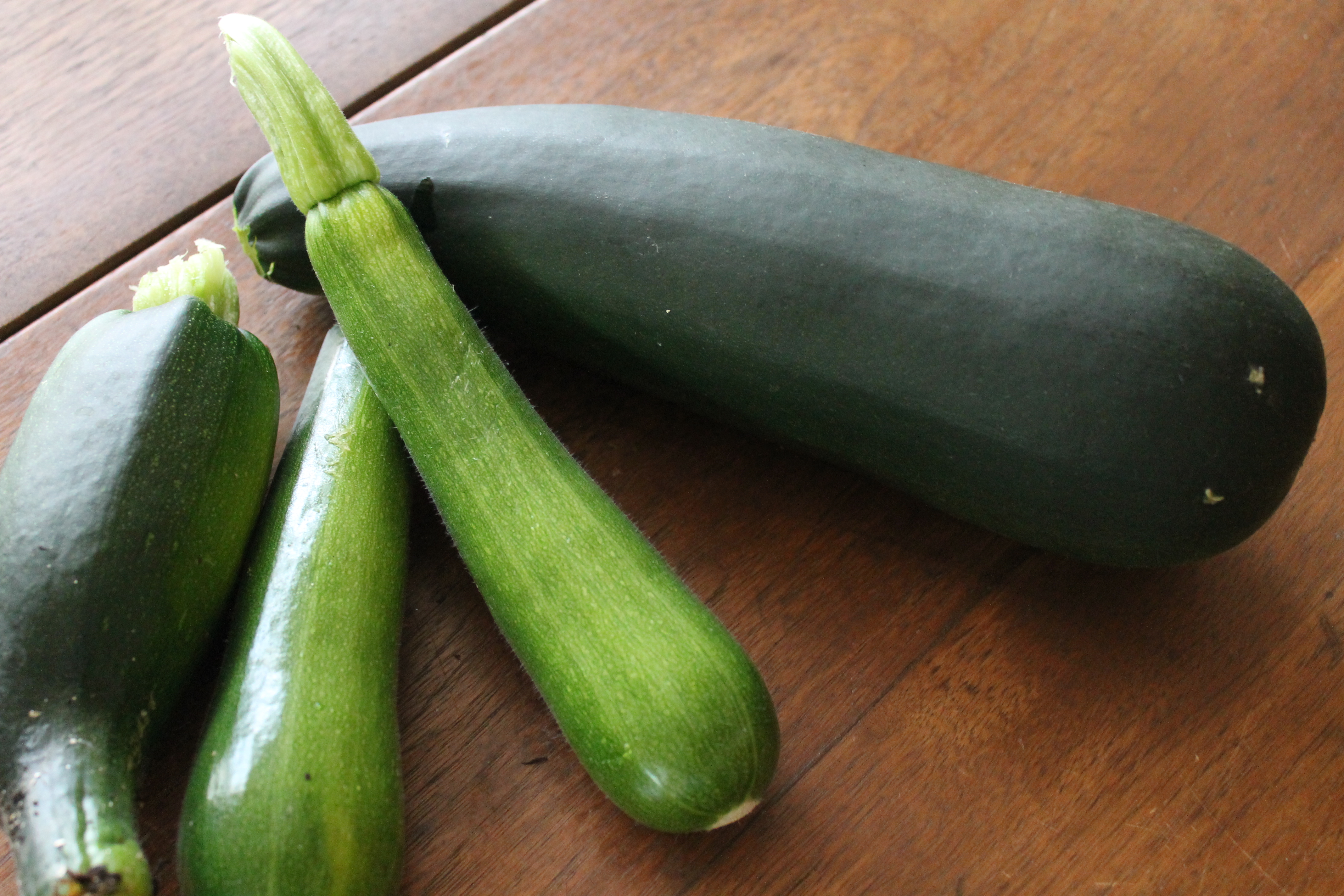 Four Zucchini harvested from the garden.