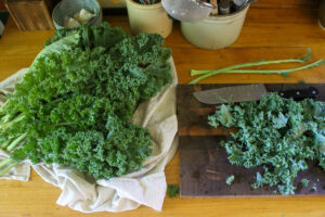 Chopping kale from the garden on a cutting board, stems removed.