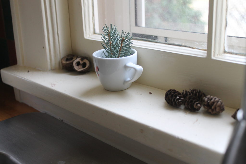 A tiny cup with pine branches, pinecones and walnuts sitting on a windowsill.
