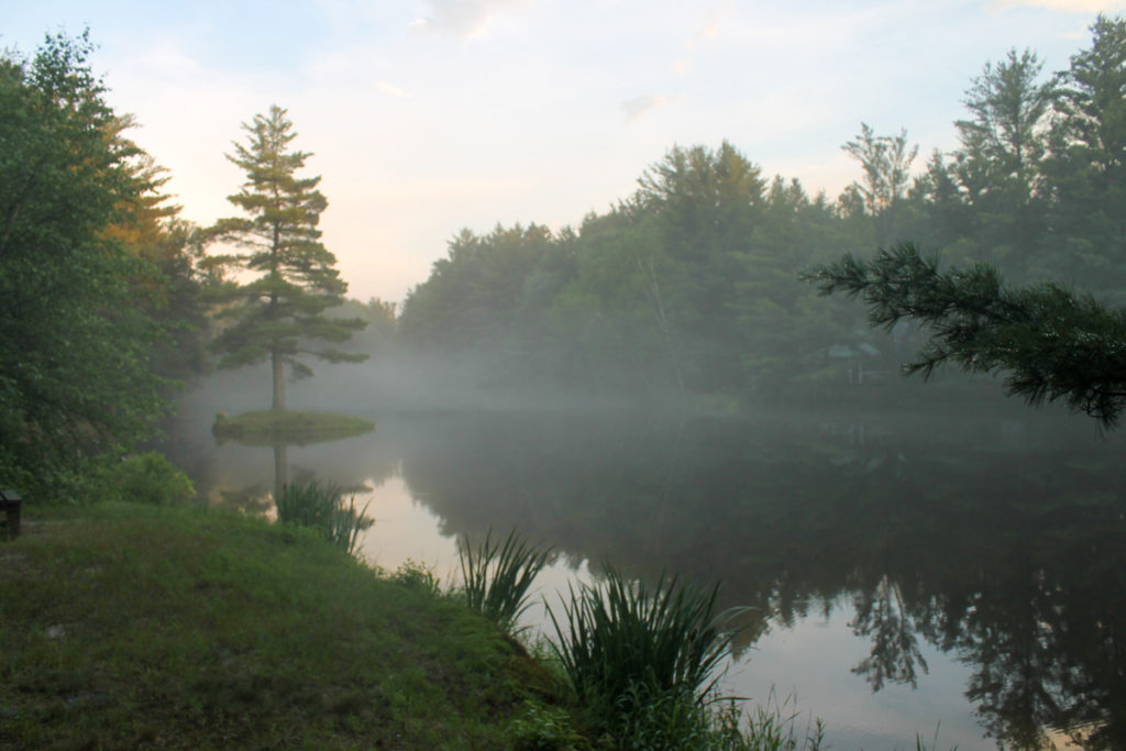 Beautiful nature photo, fog over a lake with pine trees.