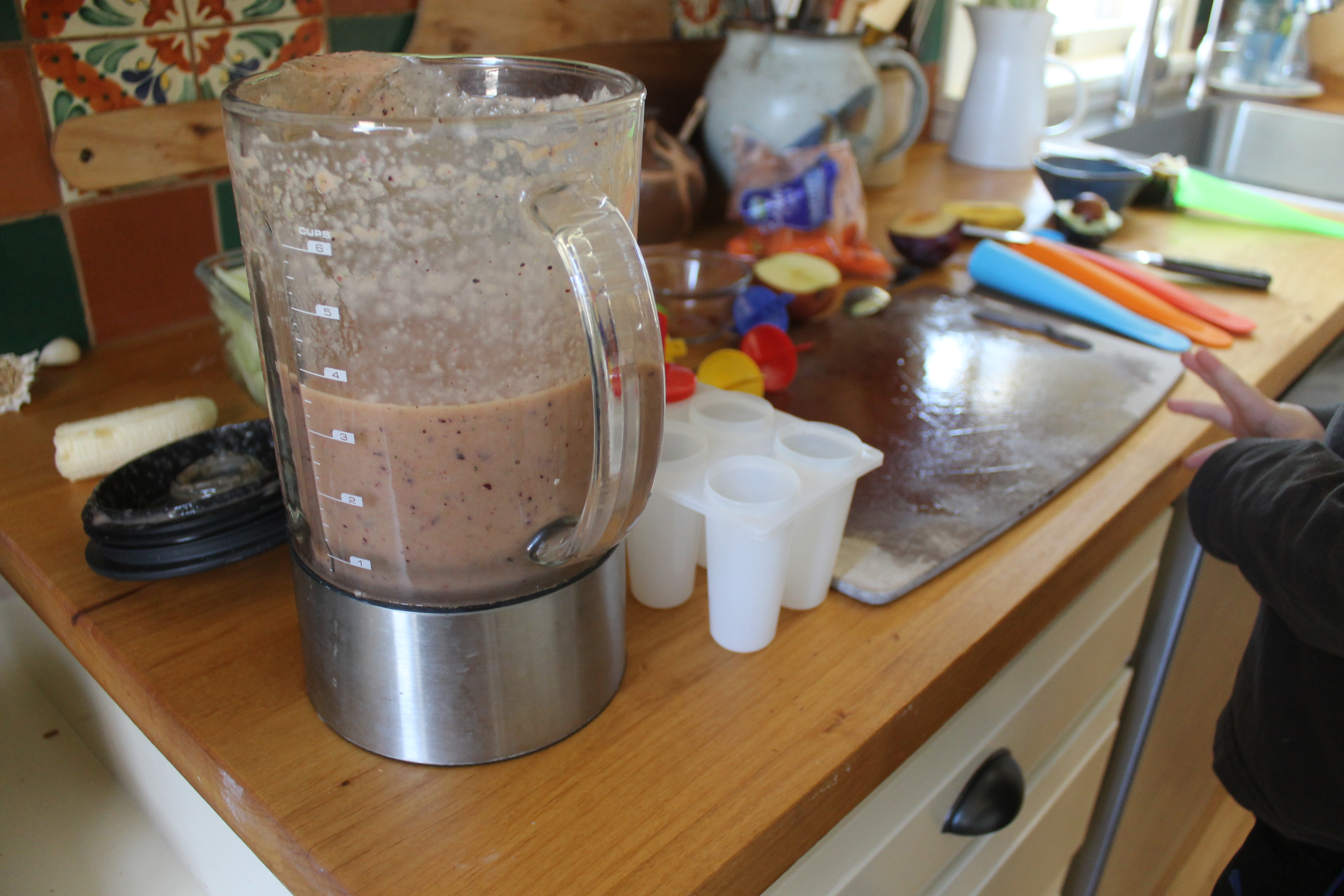 Homemade Popsicles