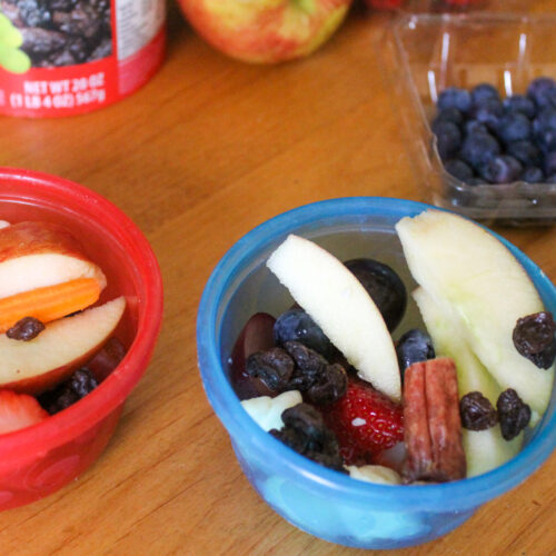 Two snack cups full of apple, beef sticks, berries and raisins.