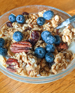 Bowl of yogurt with homemade granola and fresh blueberries.