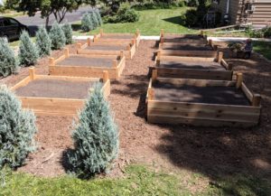 Finished raised bed gardens.