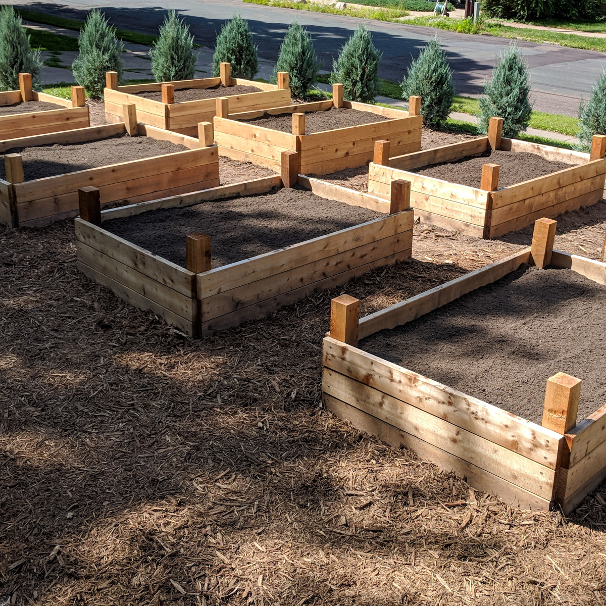 Cedar raised bed vegetable garden build.