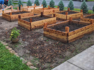 Newly built 8 cedar raised bed vegetable garden.