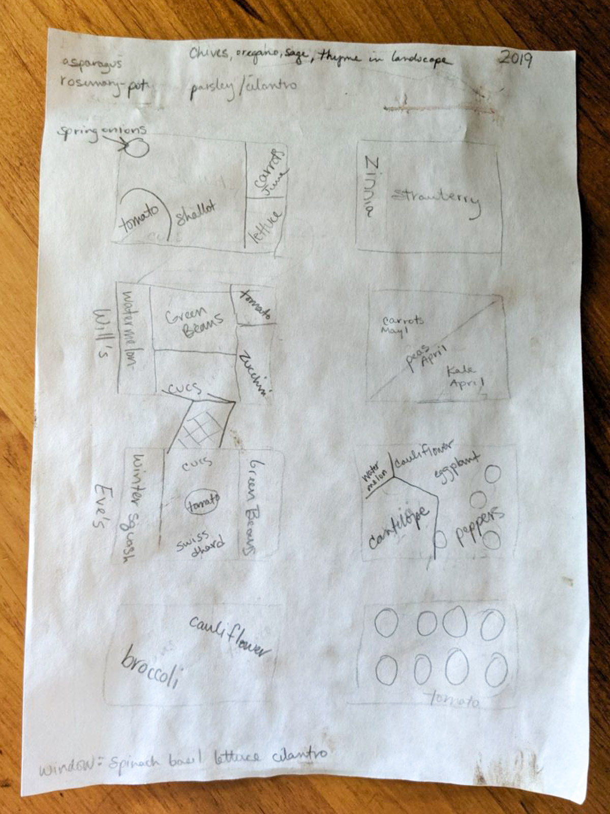 Paper drawing of vegetable garden plan.