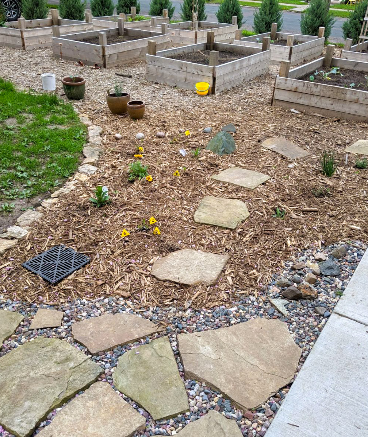 Raised bed gardens with flagstone walkway and tiny perennial wildflowers.