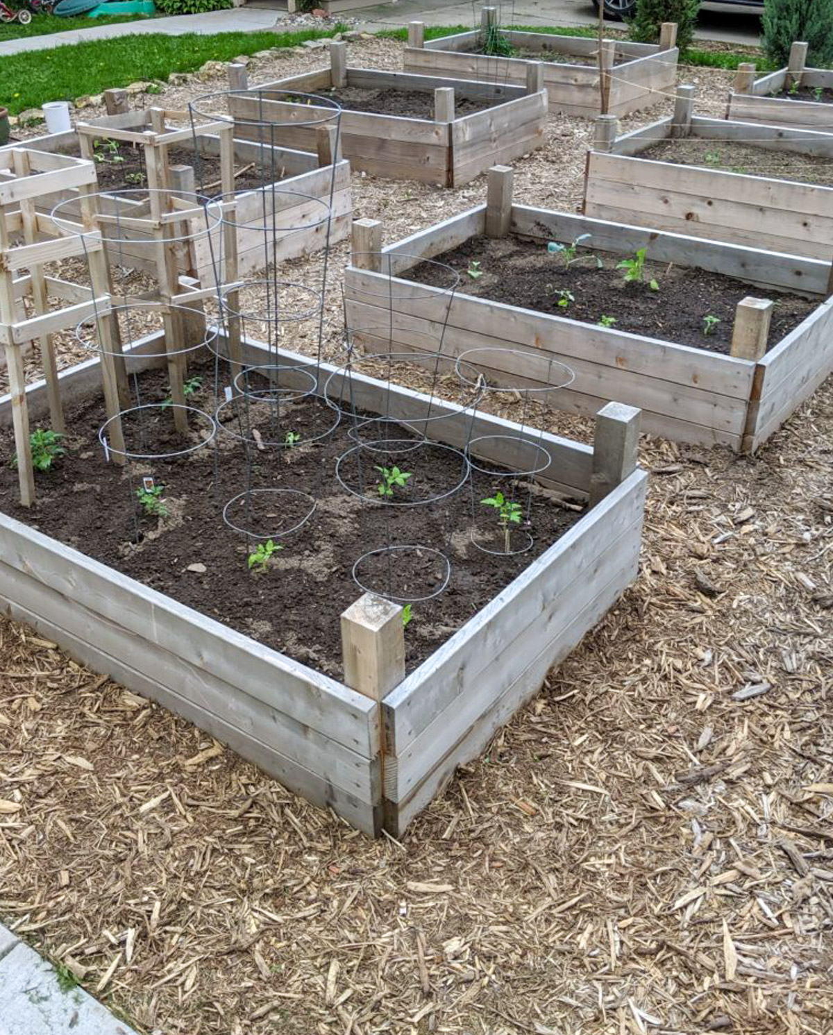 Planting our raised bed veggie garden in May.