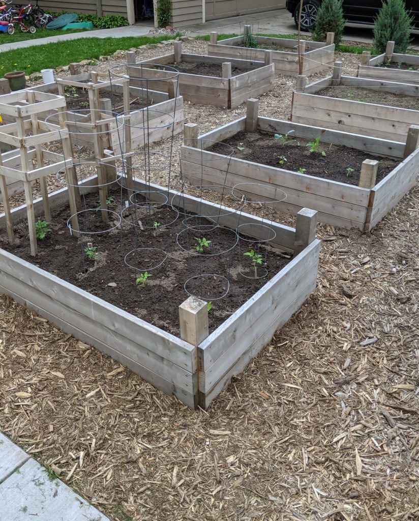 Raised Bed Veggie Gardens, planting in May Planting our raised bed veggie garden.