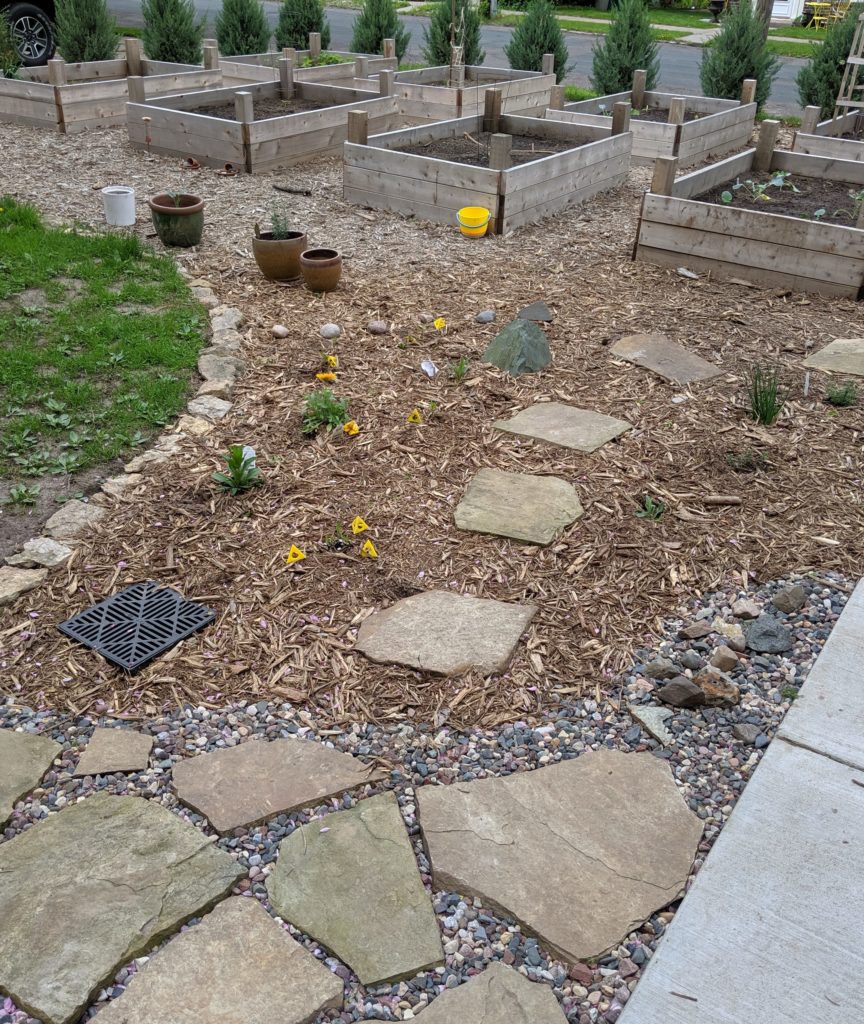 Raised bed gardens with flagstone walkway and perennial wildflowers.