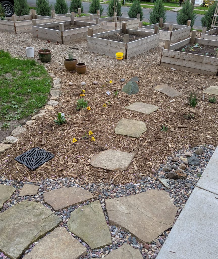 Raised Bed Veggie Gardens, year 1 Raised bed gardens with flagstone walkway and perennial wildflowers.