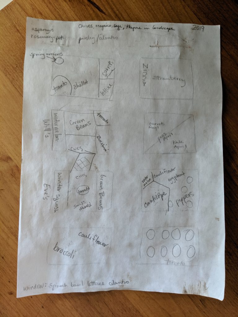 Raised Bed Veggie Gardens, Year 1 Plan Paper drawing of vegetable garden plan.