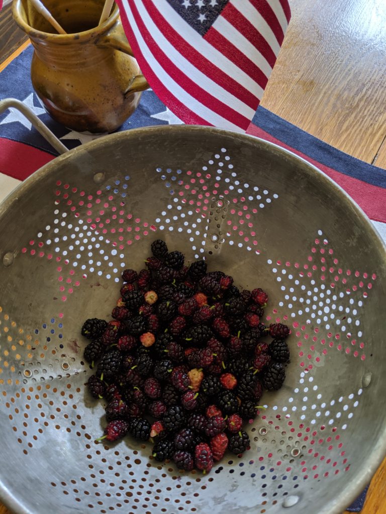 Bowl of Harvested Mulberries.