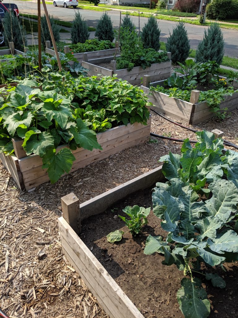 Raised Bed Veggie Garden Raised Bed Vegetable Gardens