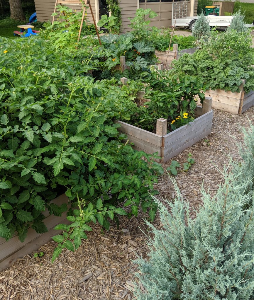 Raised Bed Veggie Garden Raised Bed Veggie Garden