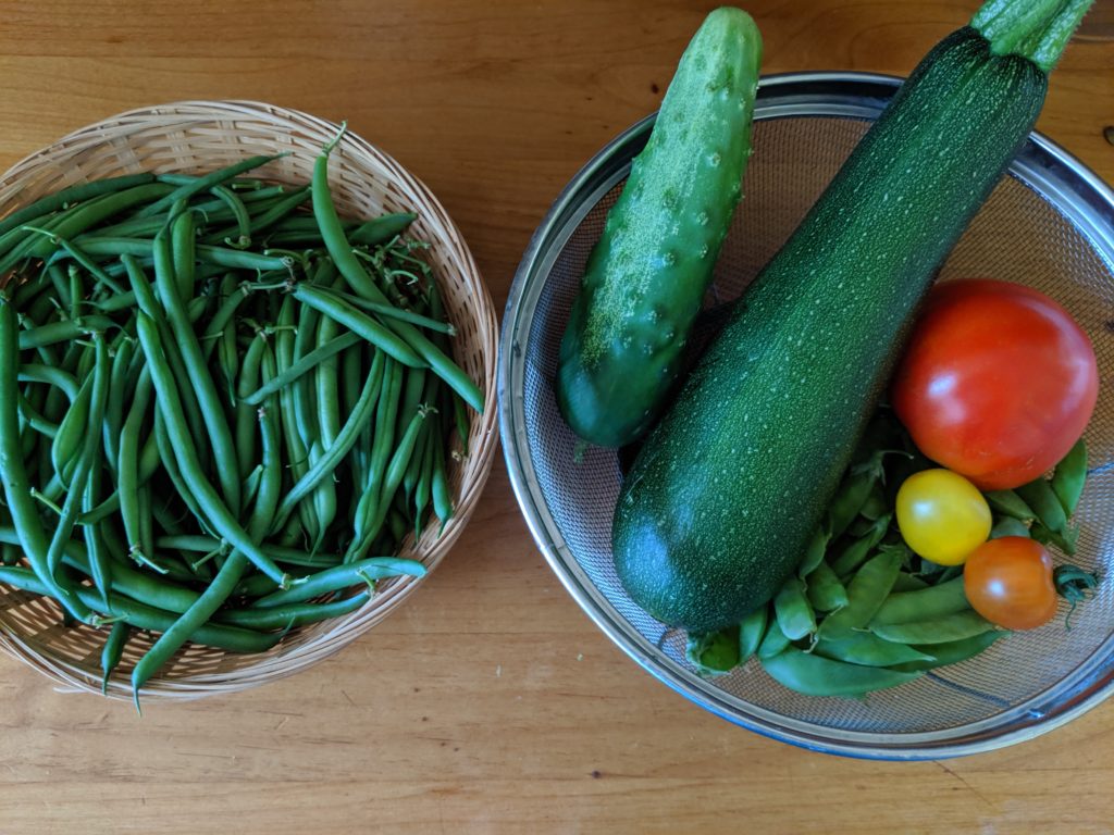 Garden Harvest, green beans, zucchini, cucumber, pea pods, and tomato Garden harvest, green beans, zucchini, cucumber, peas and tomato.