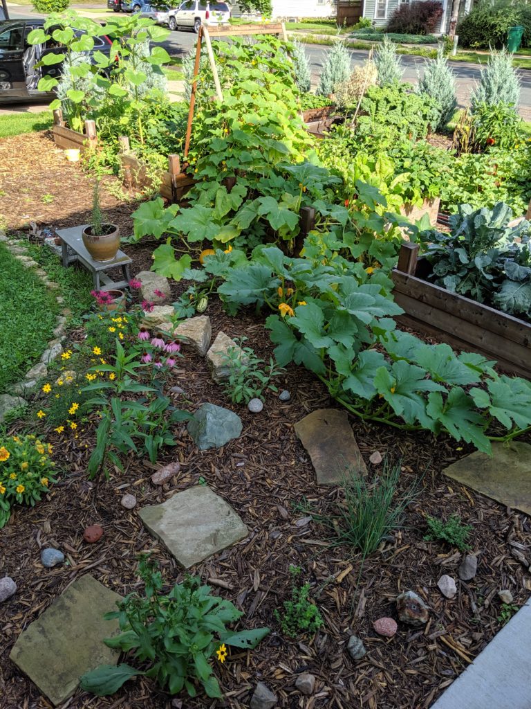 Raised Bed Veggie Garden Raised Bed Veggie Garden