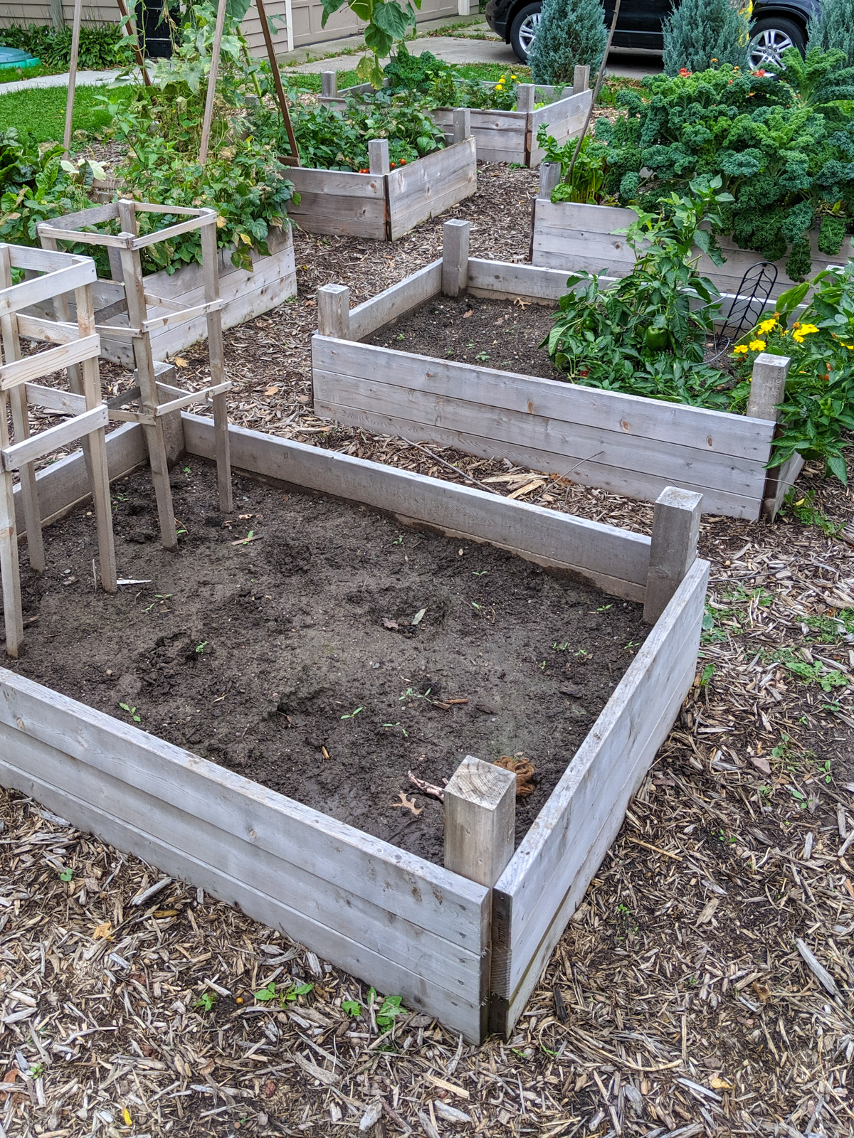 Raised Bed Gardens at end of summer as some beds are still producing and some are done.