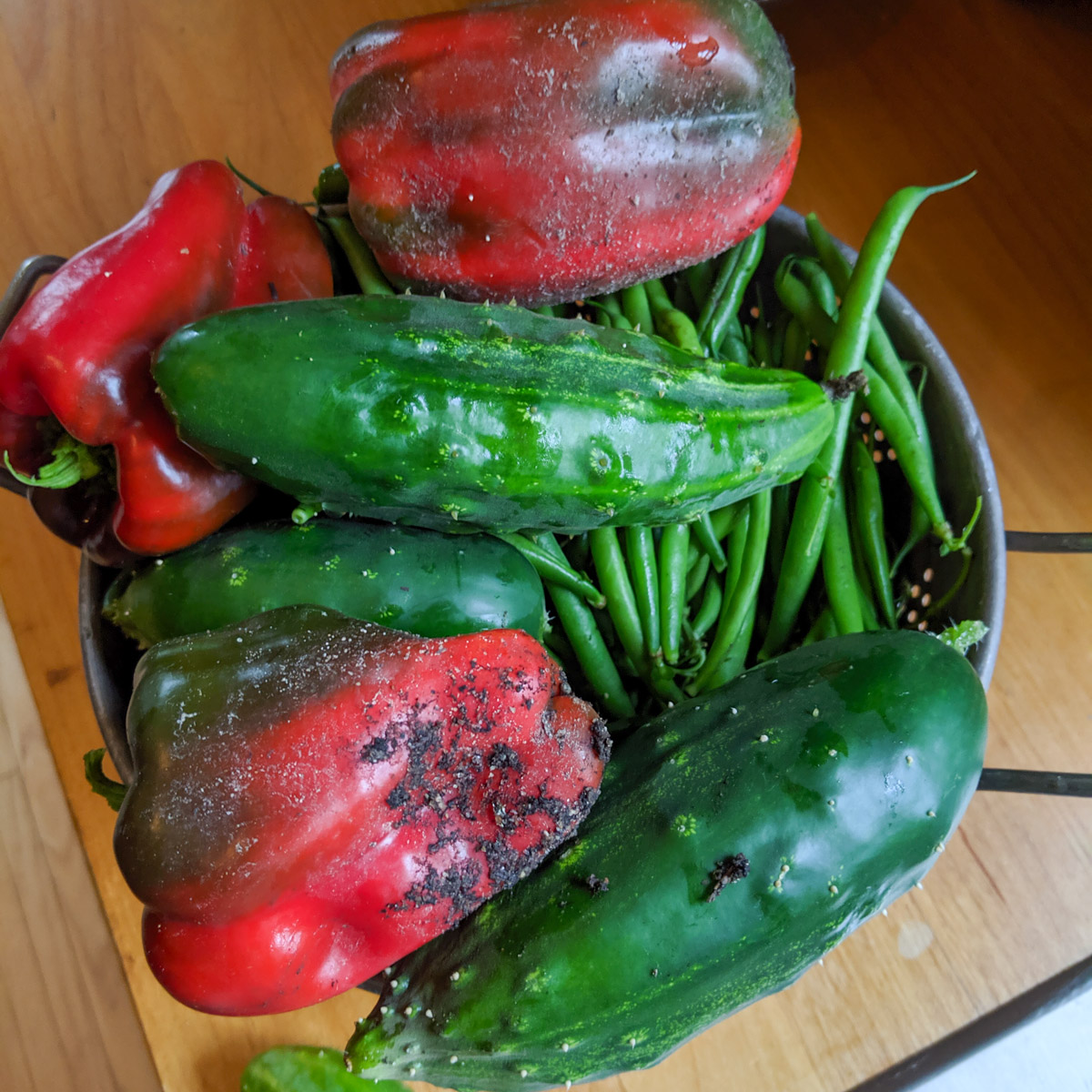 A bowl of garden fresh produce, bell pepper, cucumber and green beans.