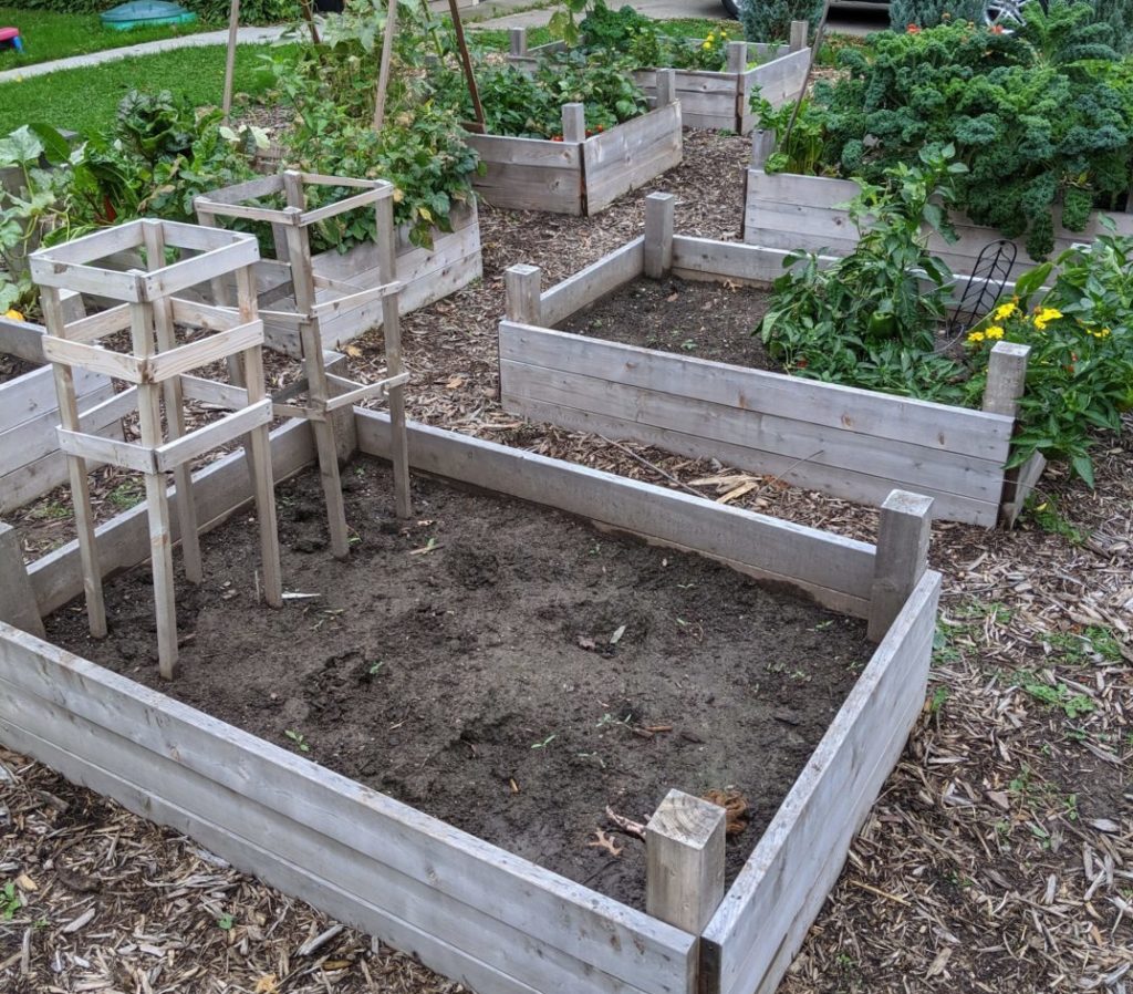 Raised Bed Gardens, end of summer