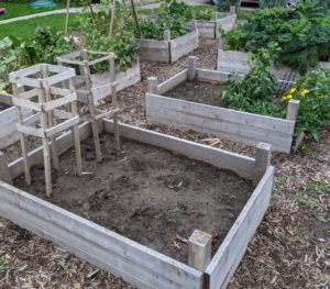 Raised Bed Gardens, end of summer
