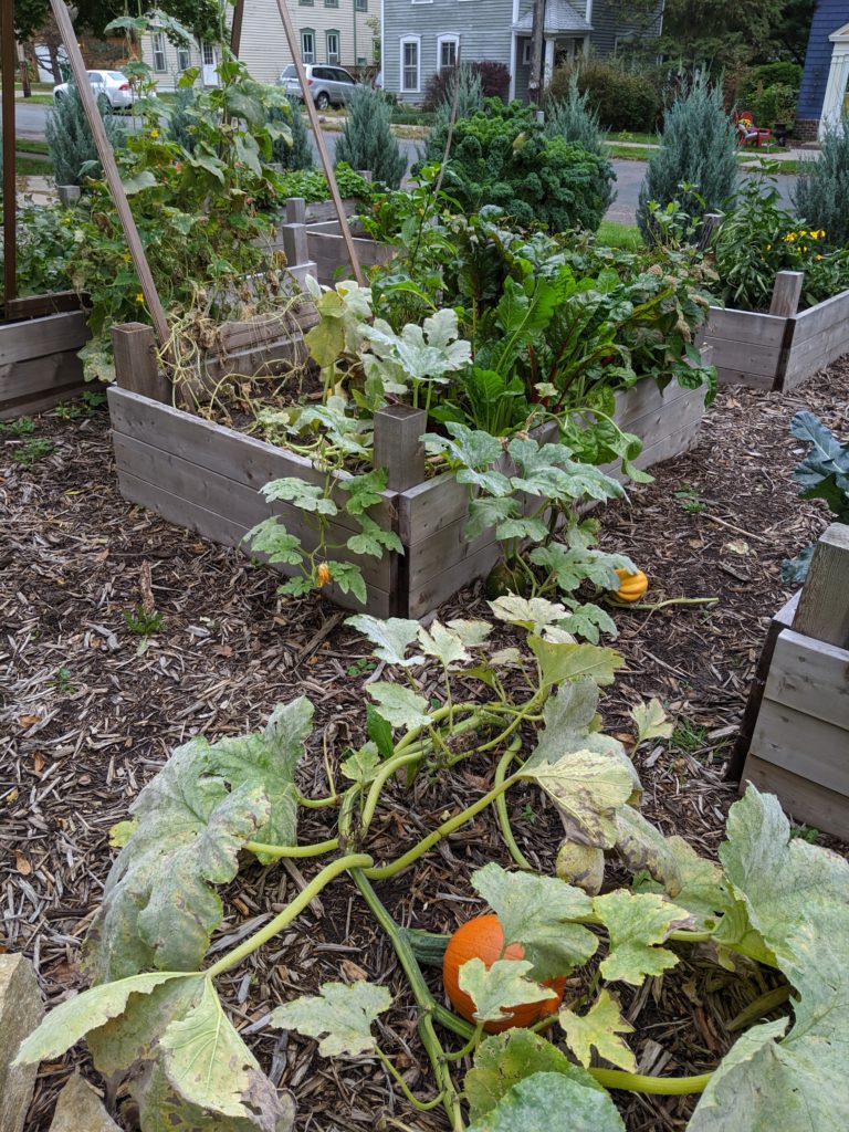 Raised Bed Gardens, end of summer Raised Bed Gardens, end of summer