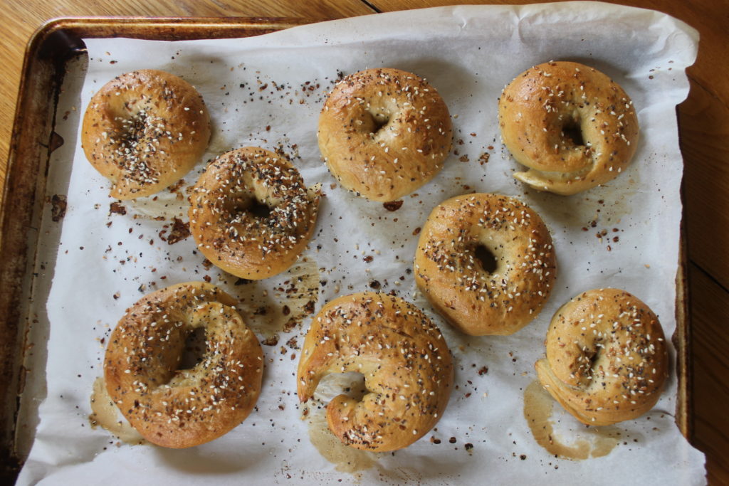 Homemade Bagels Homemade Bagels