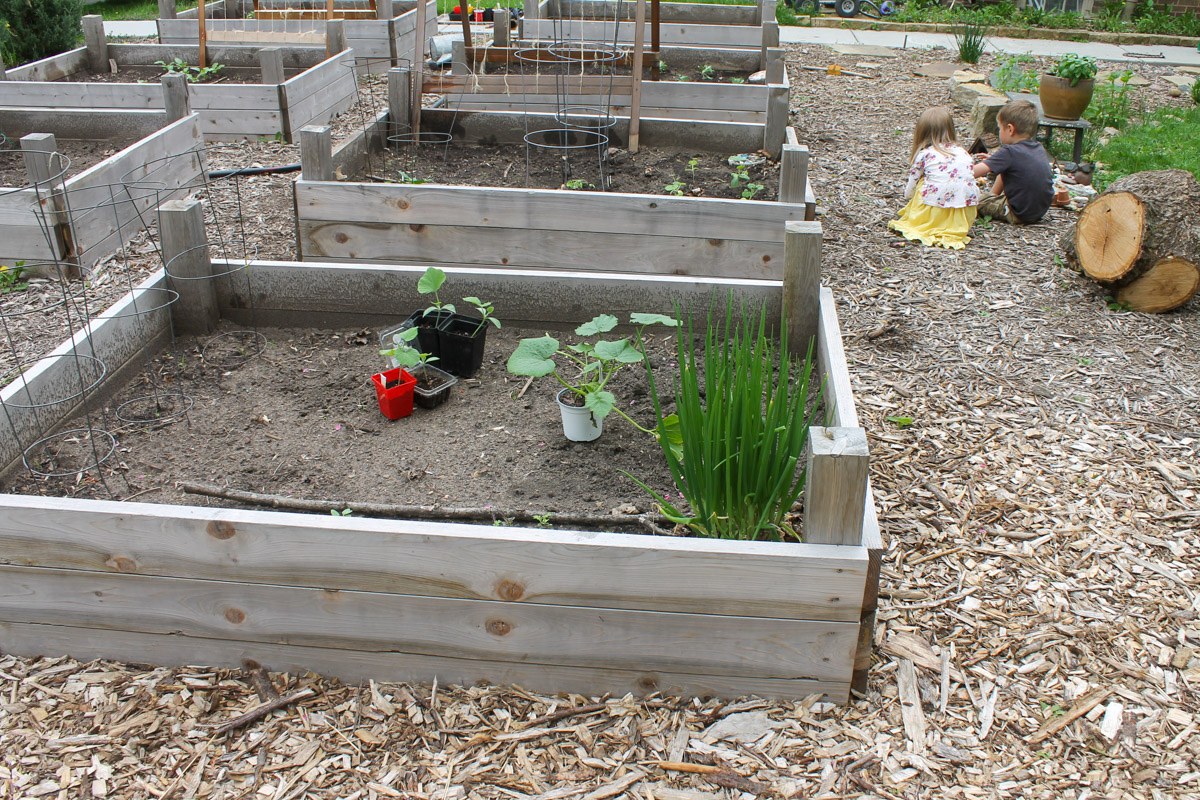Kids playing next to a large raised bed vegetable garden.