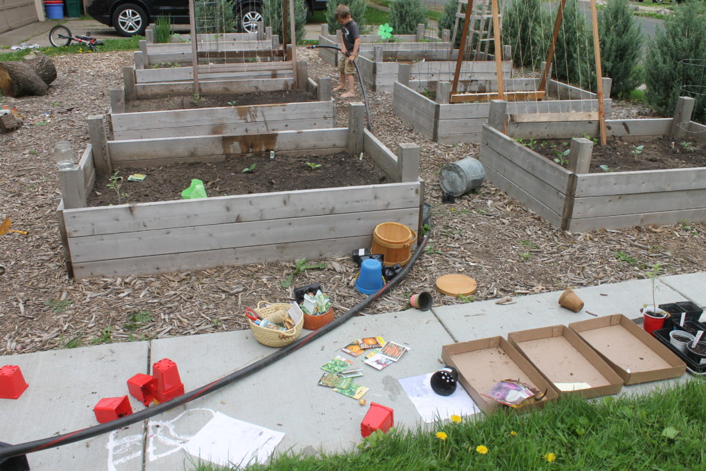 planting a raised bed vegetable garden