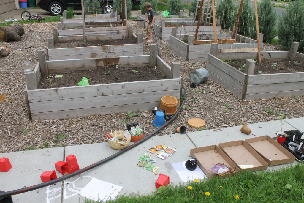 Raised Bed Vegetable Gardens, planting day Raised Bed Vegetable Gardens, planting day