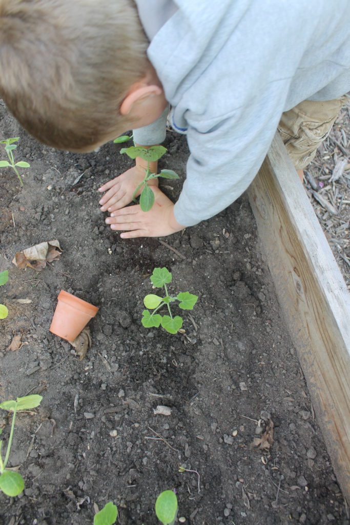 Kids planting vegetables Kids planting vegetables