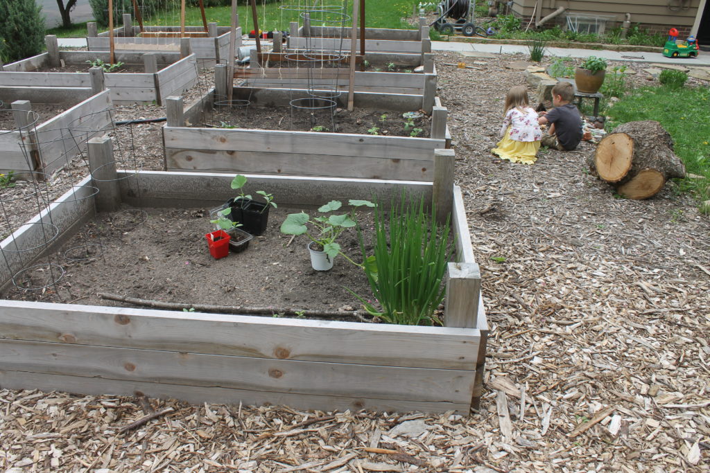 Kids in the garden, May planting day Kids in the garden, May planting day