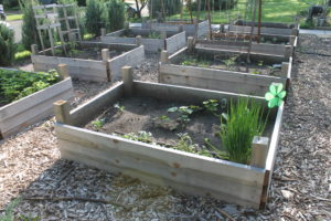 raised bed vegetable gardens