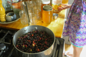 Child adding orange juice and honey to a pot of mulberries on the stove.