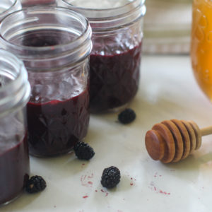 Jars of Mulberry freezer jam without pectin next to a jar of honey with a honey dipper.