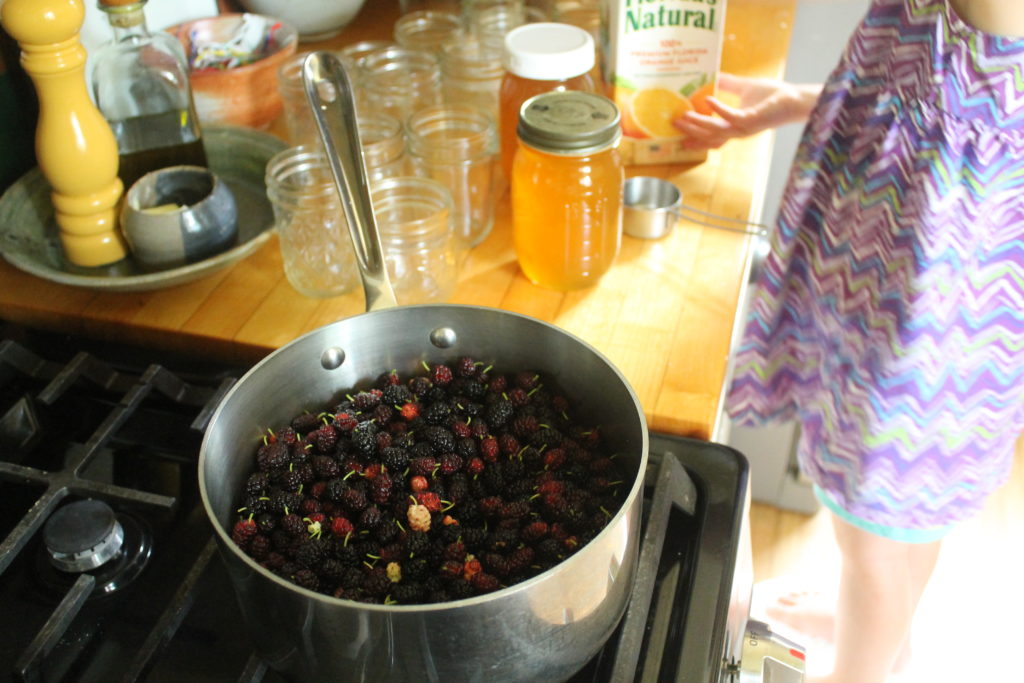Mulberry Freezer Jam Simmering Mulberry Freezer Jam Simmering