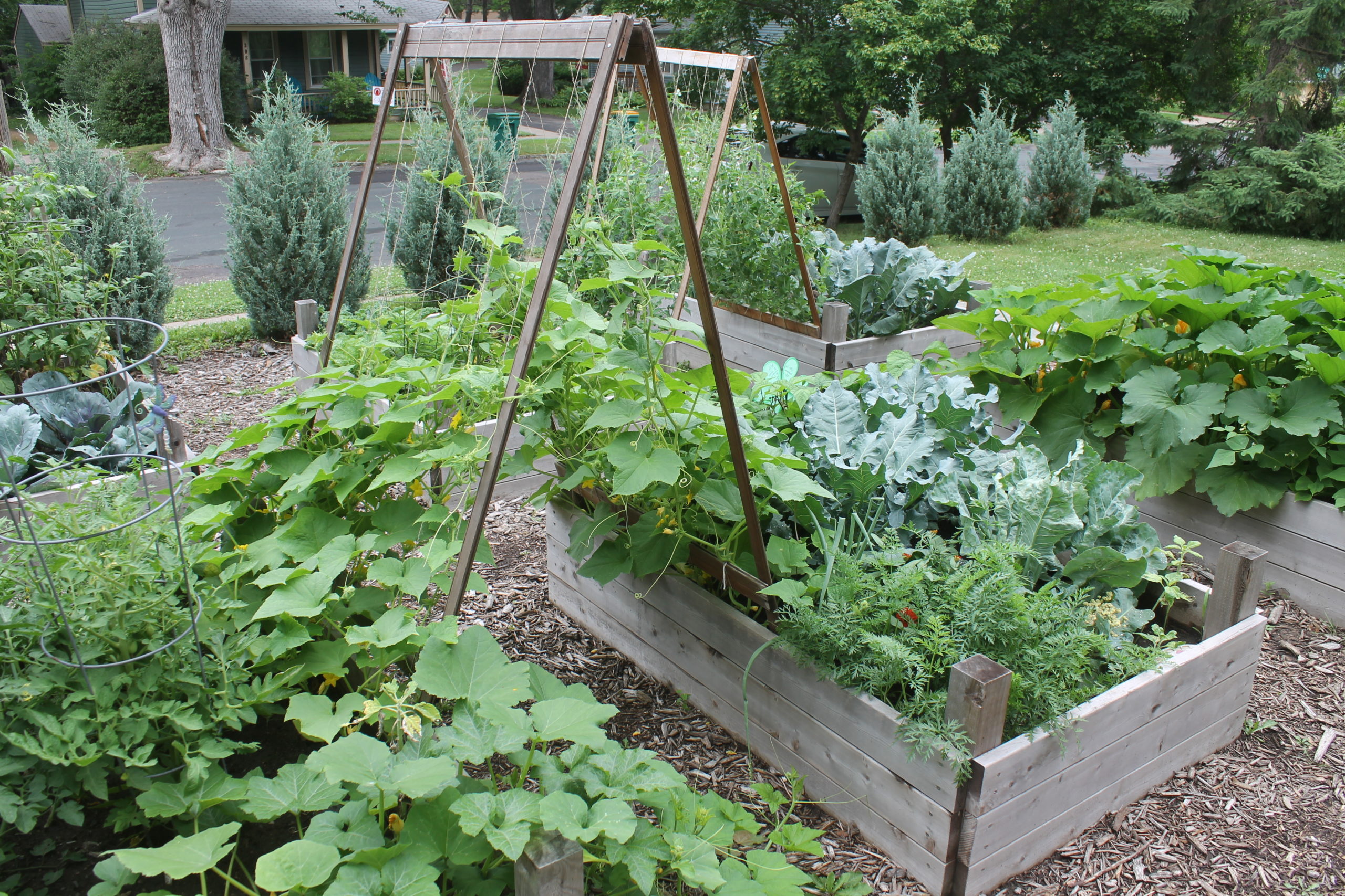 Raised Bed Garden