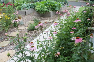 garden fresh produce and pollinator flowers