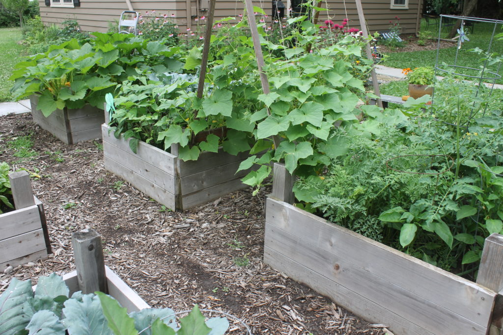 Raised bed vegetable gardens.