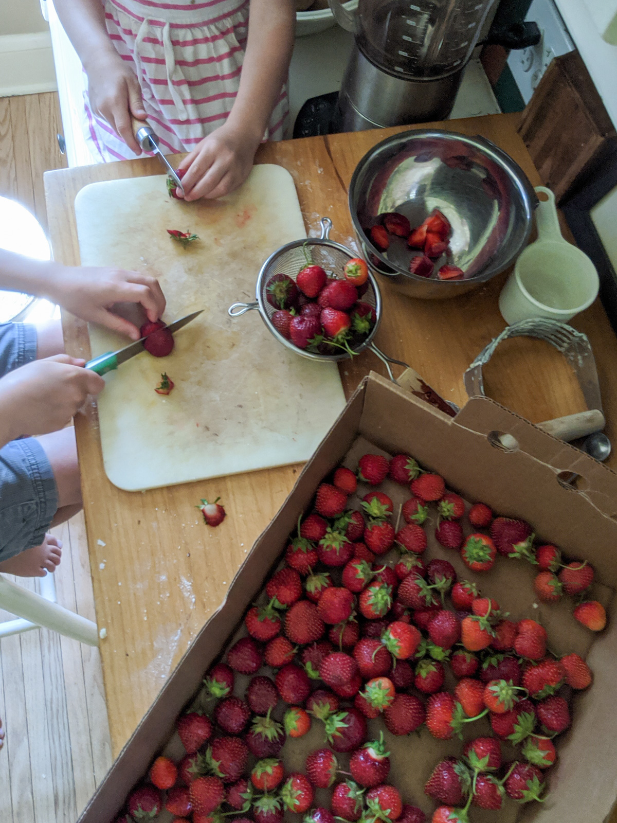 Kids slicing pick your own strawberries for shortcake.
