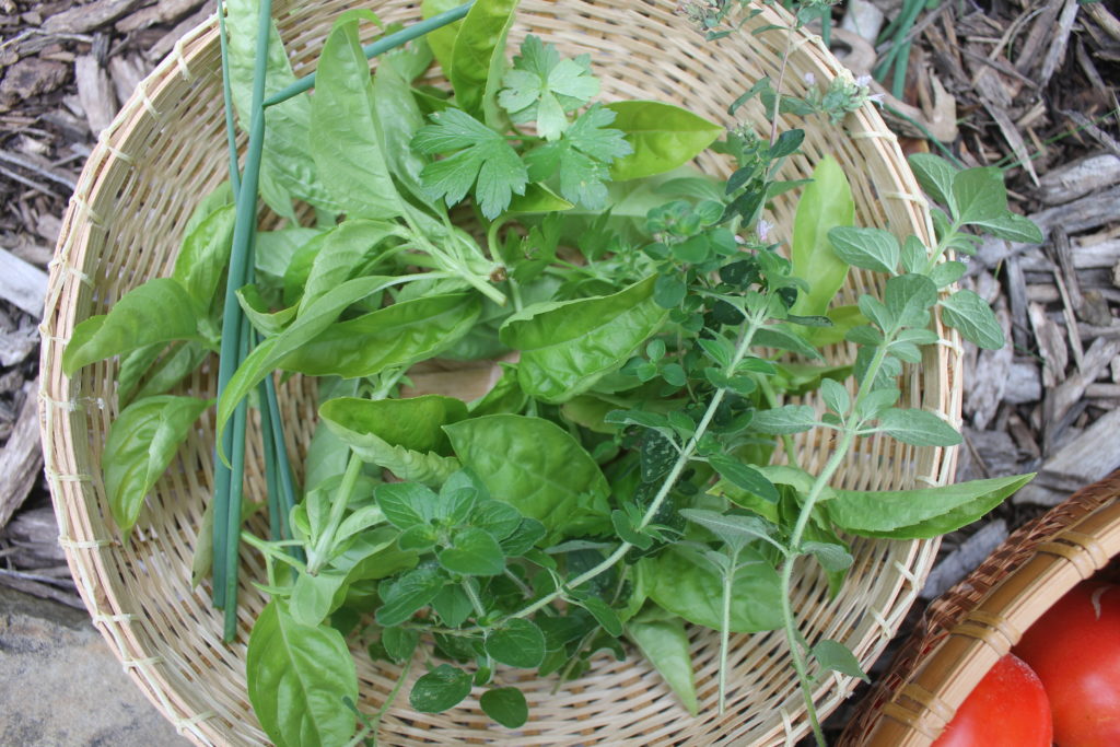  Herbes de Marinara Congélateur