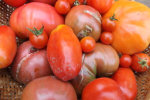 Freezer Marinara Tomatoes