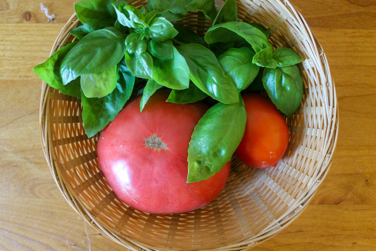 A basket of tomatoes and basil on the kitchen counter.