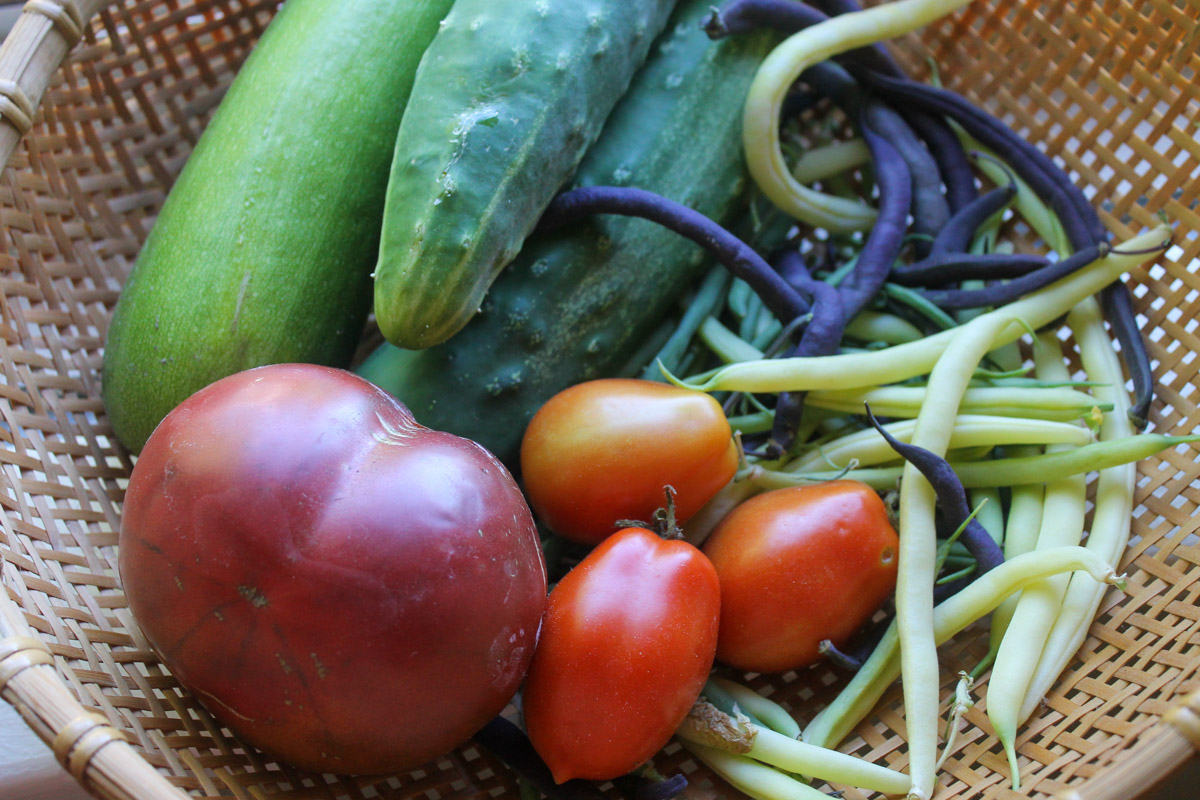 A basket of garden harvest, tomato, green beans and cucumber.