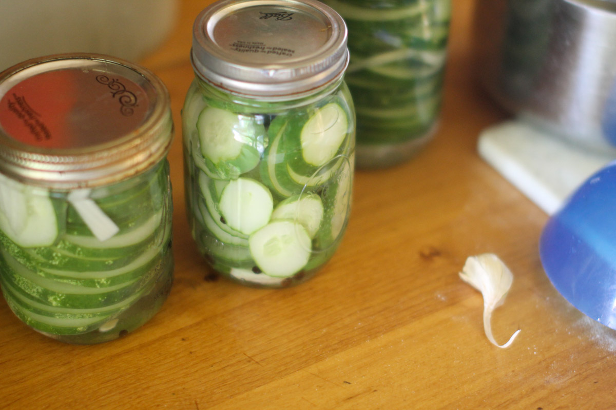Jars of refrigerator pickles on the counter.