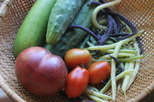garden harvest, tomato, green beans and cucumber