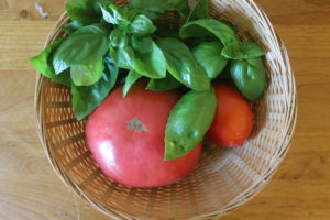 Tomato Harvest, Basil Harvest