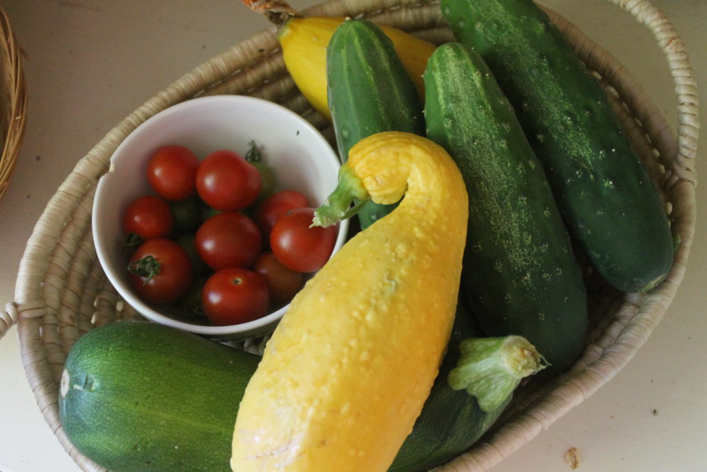 abundant harvest of zucchini, cucumber and tomato