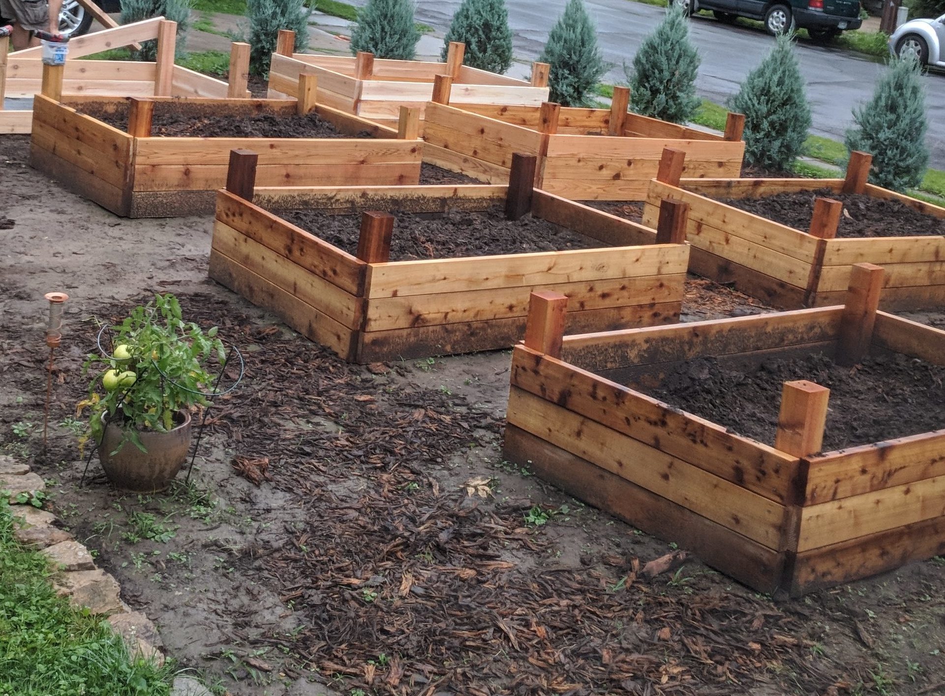 Building Raised Bed Veggie Gardens Building Raised Bed Veggie Gardens